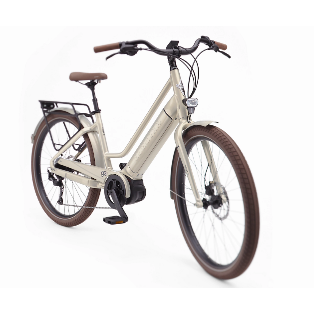 Trek Vale GO! Electric Bike