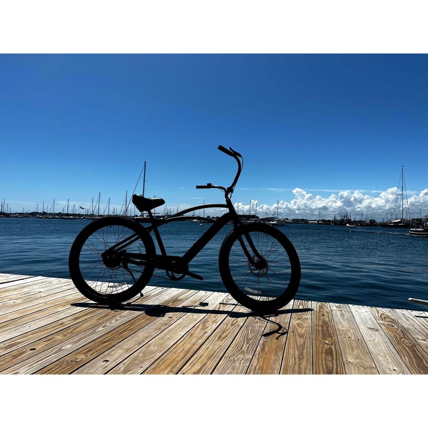 Trek Cruiser GO! Step-over Electric Bike