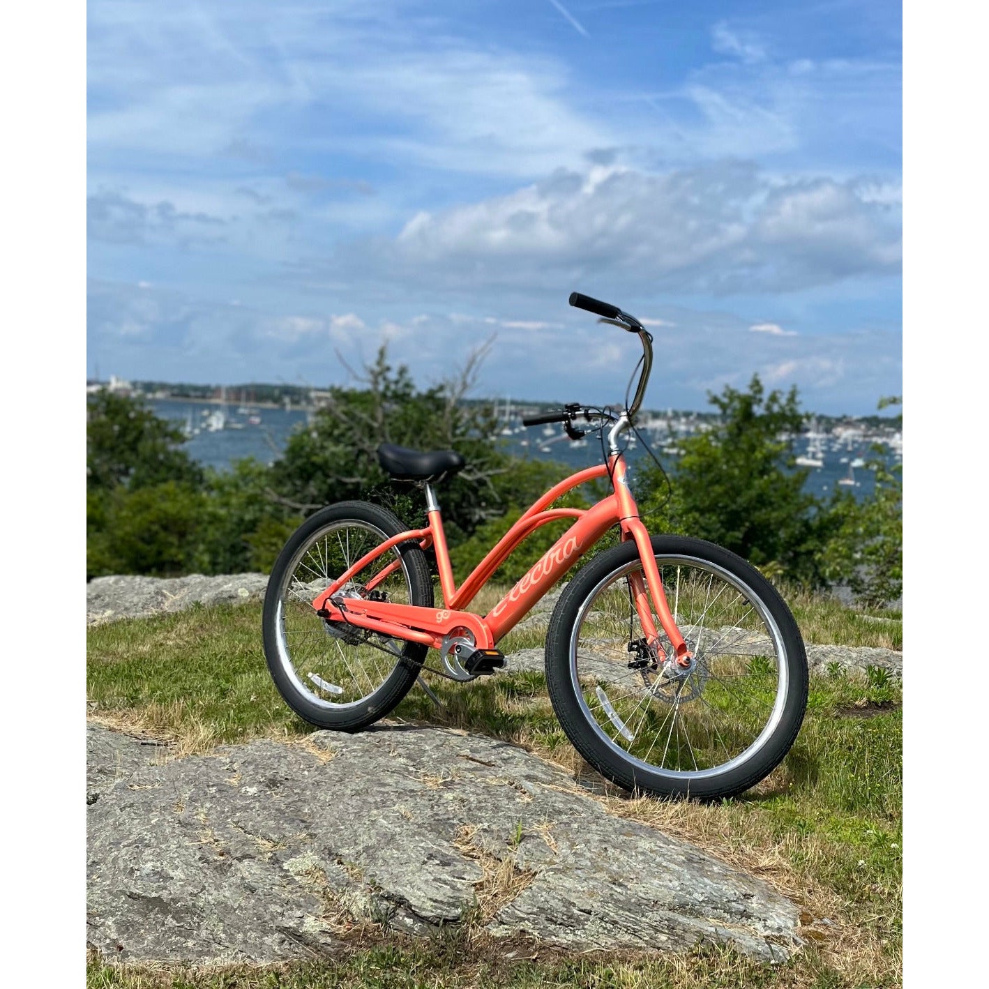 Townie on sale electric bike